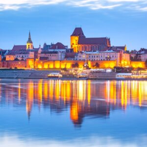 Pozycjonowanie stron Toruń